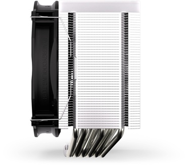 ENDORFY Fortis 5 ARGB