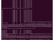 WhatsApp DNS-query