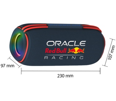 Red Bull Racing RB-SK420
