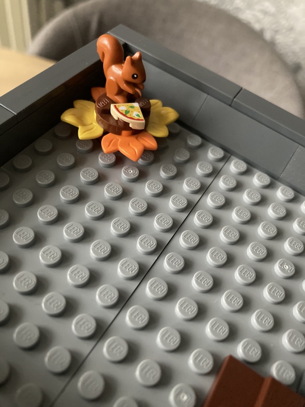 Afbeeldingslocatie: https://tweakers.net/i/l3Oj89qycfvHIlF3UD7eXJkY4mE=/x800/filters:strip_icc():strip_exif()/f/image/96CxrIQXYkHsy2RU5wn72cxO.jpg?f=fotoalbum_large