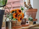 Fotosample kleurweergave en contrast 02 compactcamera vs. smartphones
