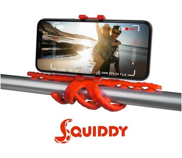 Celly Squiddy
