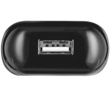 Trust ULTRA FAST WALL