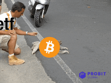 Afbeeldingslocatie: https://tweakers.net/i/l7W9xOZWMtfUNjhlJPyW_5I3htc=/full-fit-in/4000x4000/filters:no_upscale():fill(white):gifsicle():strip_exif()/f/image/SkpnhbJ9JDqDchwl82taR0Gu.gif?f=user_large