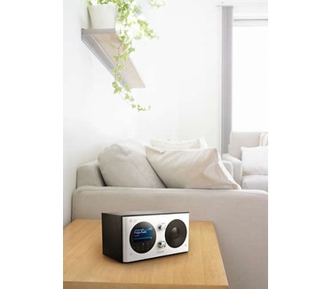 Philips AE8000/10 draagbare radio (DAB+, Digitale FM-Tuner, Internetradio) schwarz/silber