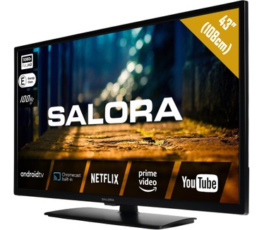 Salora 43XFA4404