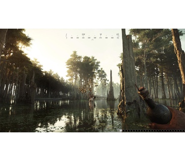 Hunt: Showdown, PS4