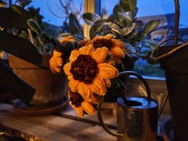 Phone 4a Pro cameratest - Hoofdcamera