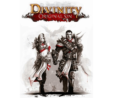 Divinity: Original Sin, PC