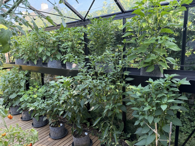 Afbeeldingslocatie: https://tweakers.net/i/lDzQiUZjw3iF6GWU4nDdJ7sCvls=/800x/filters:strip_icc():strip_exif()/f/image/waONhiGSI2MF6ncuMvsC7L0x.jpg?f=fotoalbum_large