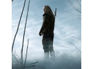 The Witcher foto's