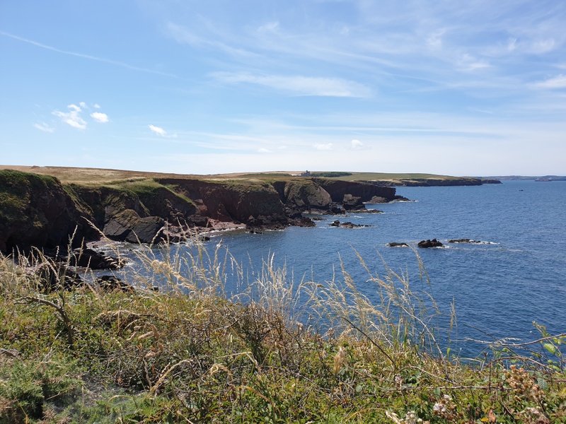 Afbeeldingslocatie: https://tweakers.net/i/lJ6KU-D9X-9OPTA_fkh6kWUFmeI=/800x/filters:strip_icc():strip_exif()/f/image/xnLRTuPEpfhReYUL0qxXD5Dd.jpg?f=fotoalbum_large