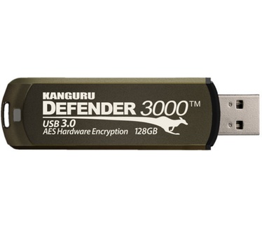 Kanguru Defender 3000, 4GB