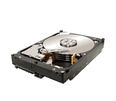 Seagate Constellation ST31000424SS  , 1TB SAS, 16MB, 7200rpm