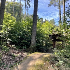 Afbeeldingslocatie: https://tweakers.net/i/lMx5NqhLvHbKwwwfwveLUxWD0rU=/232x232/filters:strip_icc():strip_exif()/f/image/VUDSRWkNDhmSMYmgeaJVVxoJ.jpg?f=fotoalbum_tile