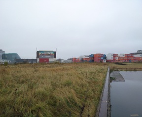 Foto gemaakt met Huawei Nova