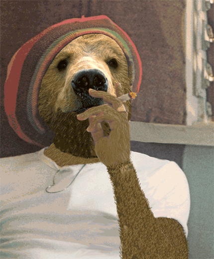 Afbeeldingslocatie: https://tweakers.net/i/lO4Luu1mF8SEPRClpYel-4JwtL8=/fit-in/4000x4000/filters:no_upscale():gifsicle():strip_exif()/f/image/uPDCoOPNrQqVWpAOtJMU2M1j.gif?f=user_large