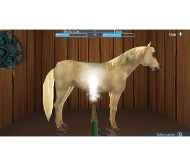 My Riding Stables: Life With Horses