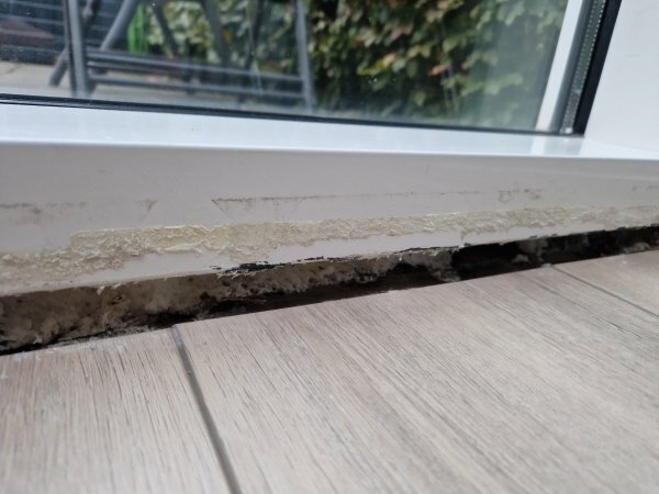 Afbeeldingslocatie: https://tweakers.net/i/lP0sEet31hMquKwCTqK_lQ-hHwo=/full-fit-in/4920x3264/filters:max_bytes(3145728):no_upscale():strip_icc():fill(white):strip_exif()/f/image/3OHV1V6fUB6zBCr7ElQ1bTGt.jpg?f=user_large