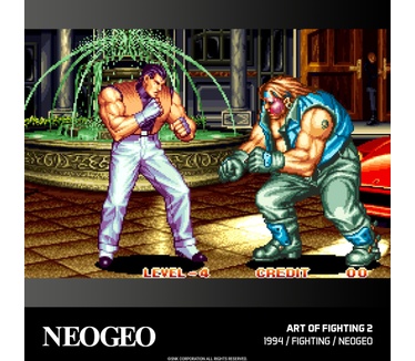 Evercade - NEOGEO Arcade 2