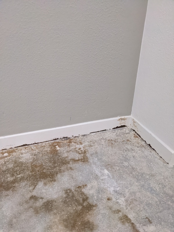 Afbeeldingslocatie: https://tweakers.net/i/lQZn99iwBWnSK0If3FwnqFZTIhw=/x800/filters:strip_icc():strip_exif()/f/image/BnibcUPu4n2YvkEcaTG5q3Tf.jpg?f=fotoalbum_large