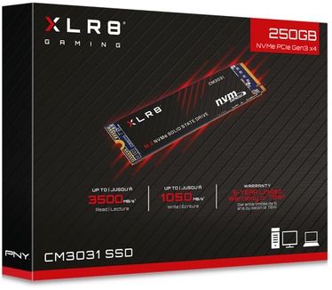 PNY XLR8 CM3031