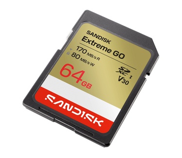 Sandisk Extreme GO