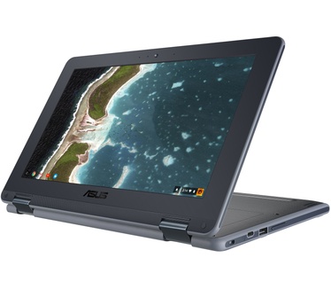 Asus C213NA-BU0058-BR