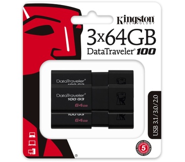 Kingston 100 G3