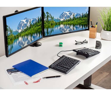 Kinesis Freestyle2 20inch (Qwertz DE)