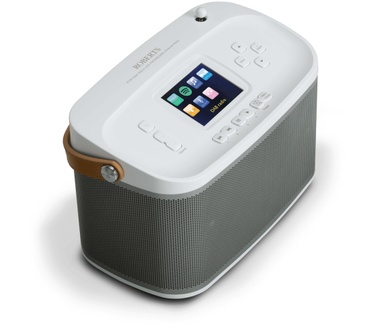 Roberts Radio R100