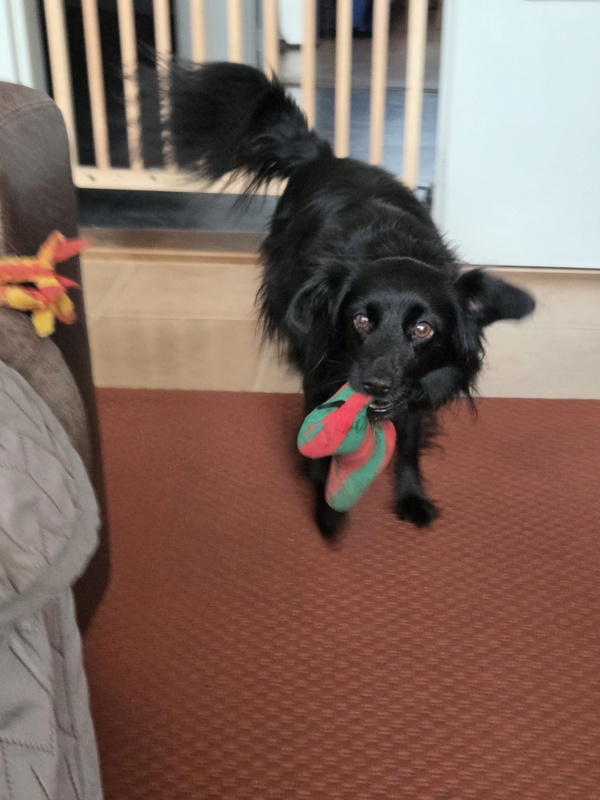 Afbeeldingslocatie: https://tweakers.net/i/lZOa1p0v5TSRAnAU8rsyKoz51DI=/x800/filters:strip_icc():strip_exif()/f/image/O8qCx3X7DRiHANfUY7vC01Je.jpg?f=fotoalbum_large