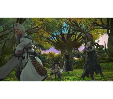 Final Fantasy XIV: Shadowbringers, PS4