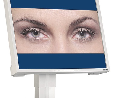 Iiyama ProLite H540S-W perspic