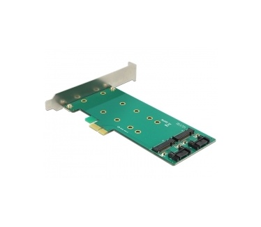 Delock PCI Express Karte > 2 x intern M.2 Key B 110 mm - Low Profile Form Factor