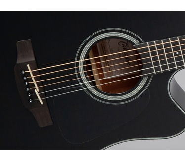 Takamine GD30CE-BLK