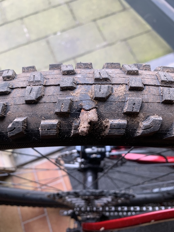 Afbeeldingslocatie: https://tweakers.net/i/lkDjOMjlHcTmJKqxQhATzIsJKz8=/x800/filters:strip_icc():strip_exif()/f/image/WeYywBDjPlJYn8YKp1lk6QGL.jpg?f=fotoalbum_large