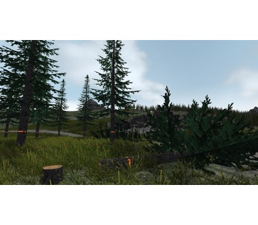 Forestry 2017, Windows