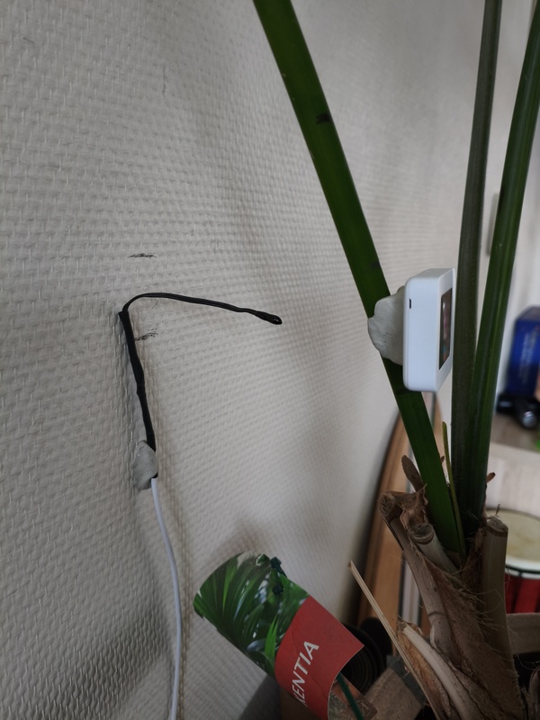 Afbeeldingslocatie: https://tweakers.net/i/lmBJx2wX-KkdK0agieJENXjLRPk=/x800/filters:strip_icc():strip_exif()/f/image/2EnBmAs122KFkZYvriEUZwn6.jpg?f=fotoalbum_large