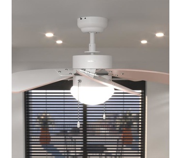 Cecotec 05965