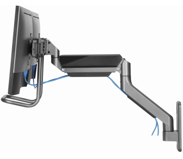 Gembird Laikiklis Adjustable wall 2-display mounting arm 17-32inch iki 8kg