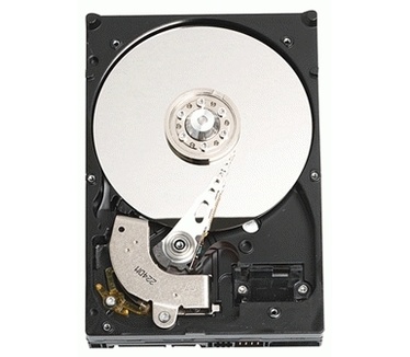 WD Caviar RE2 WD3201ABYS, 320GB