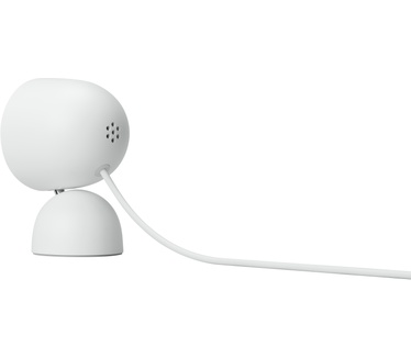 Google Nest Cam