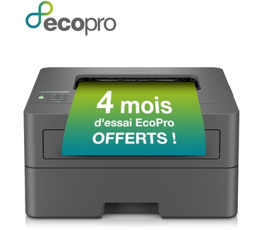 Brother HL-L2400DWE (met 4 maanden EcoPro printabonnement)