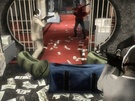 Payday: The Heist-screenshot 1