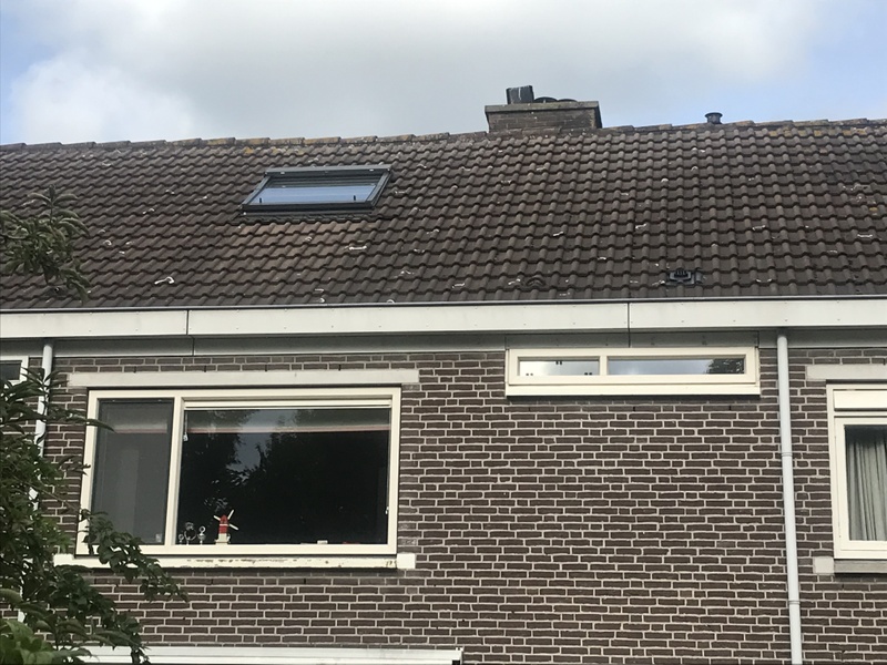 Afbeeldingslocatie: https://tweakers.net/i/lwjUo1zivqJujVB1mz85OJuZfSI=/800x/filters:strip_icc():strip_exif()/f/image/kIniU85n7gQJILoWIFh3vBwV.jpg?f=fotoalbum_large