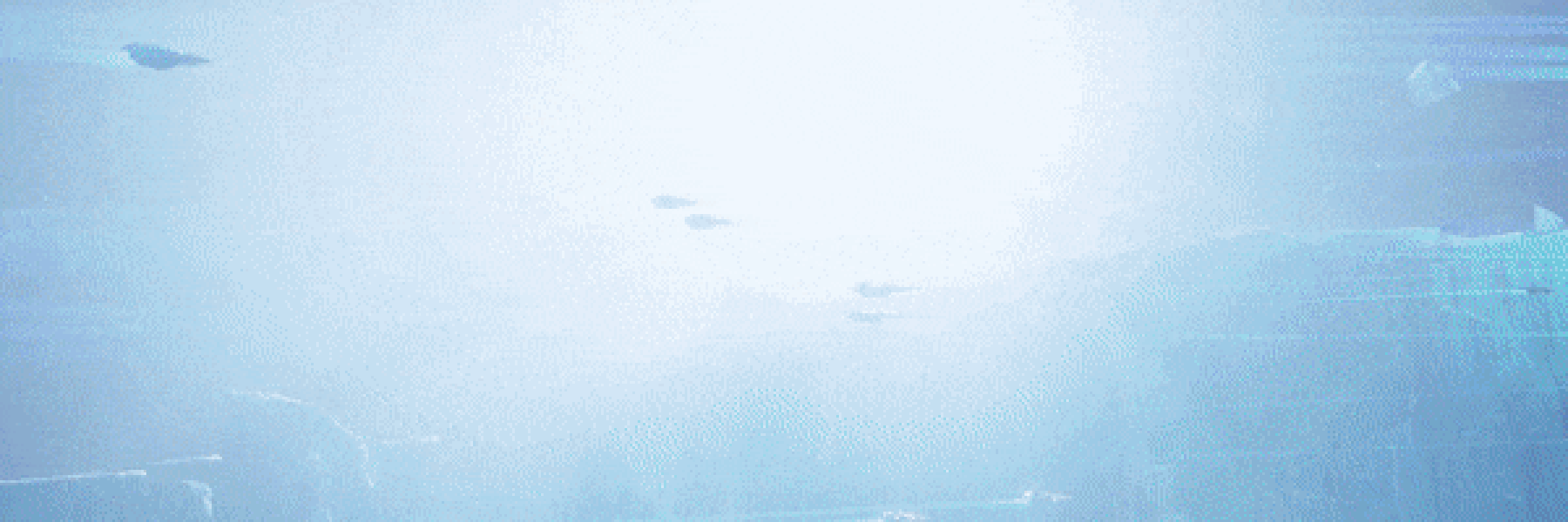 Afbeeldingslocatie: https://tweakers.net/i/m17NxAt0a1LIxnf3ZVG3_J-5uHg=/full-fit-in/4000x4000/filters:no_upscale():fill(white):gifsicle():strip_exif()/f/image/k51jYaaQx9M106kYWcPMC8xd.gif?f=user_large
