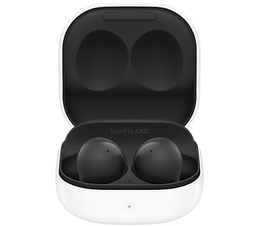 Samsung Galaxy Buds2 (Grafiet, Zwart)