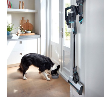 Bissell Icon Pet 25V