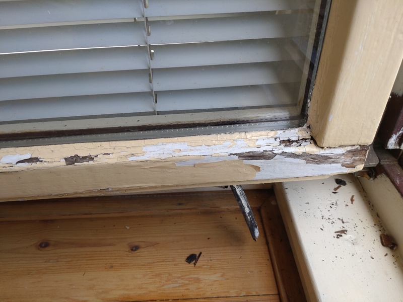 Afbeeldingslocatie: https://tweakers.net/i/m5anM7fwDZixZZ5xbt2ot8Fq2cw=/800x/filters:strip_icc():strip_exif()/f/image/qodOAoo45jiuwCCMf5dwxF9K.jpg?f=fotoalbum_large